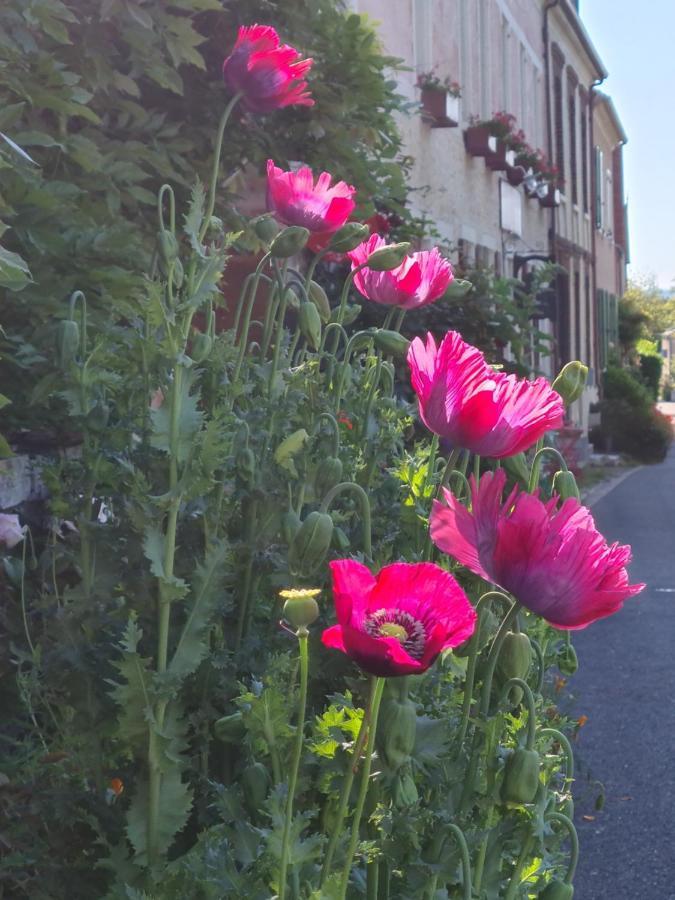 Le petit nid d'aigle - Giverny Extérieur photo